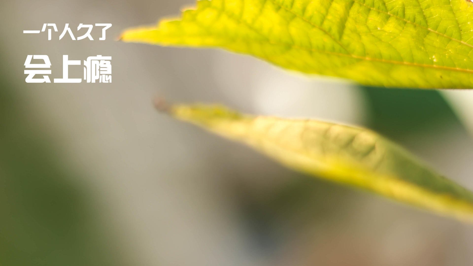 爱游戏体育客户端-未来“足球皇者”崭露头角：新星引领潮流，足球皇家俱乐部