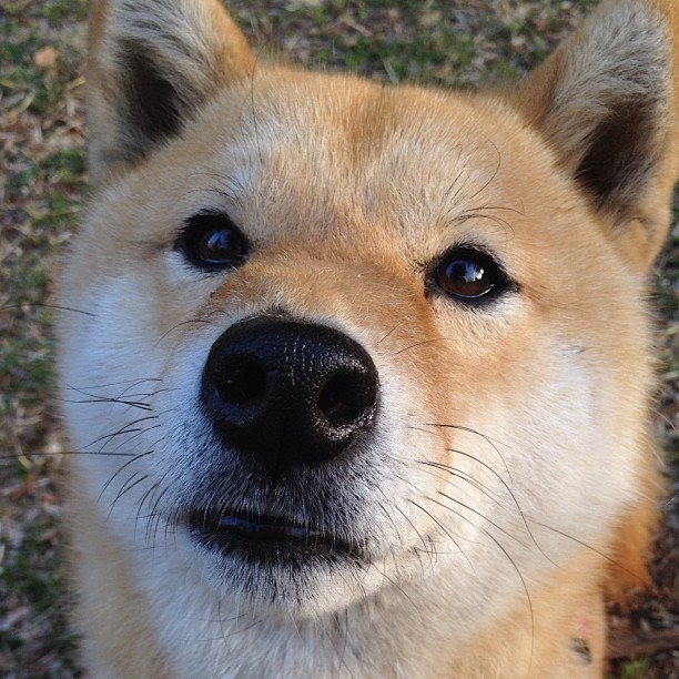 花样游泳表演,水中芭蕾精彩纷呈,花样游泳舞台表演