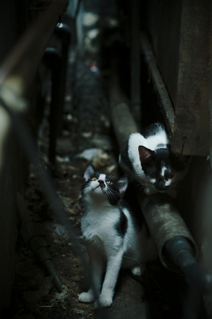 爱游戏体育-联盟年度重点：未来科技让比赛更“炫酷”，未来科技秀