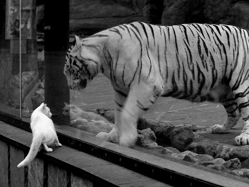 BLG启动电竞运动员伤病恢复专项行动，电竞运动员健康