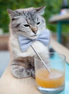 爱游戏在线-新疆飞虎替补阵容贡献增大，cba新疆飞虎