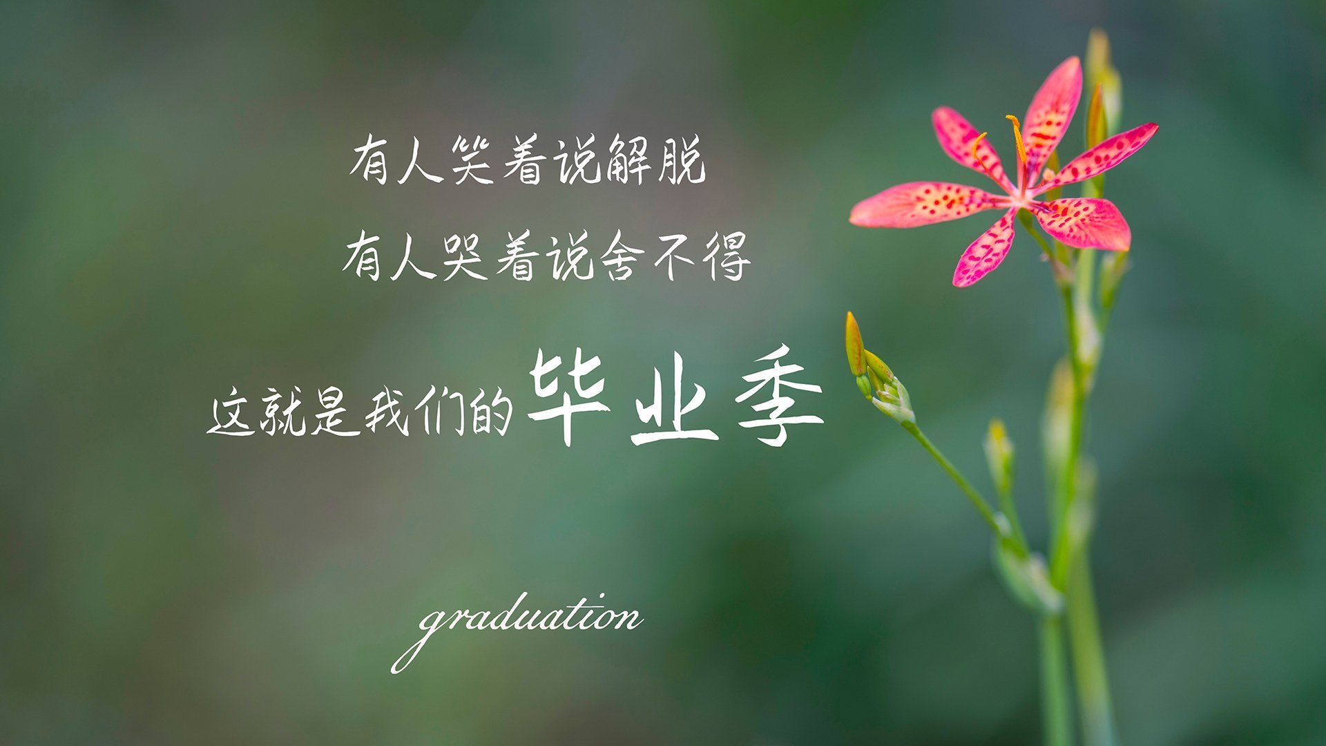 全国游泳俱乐部联赛多城区队表现突出，中国游泳俱乐部排名